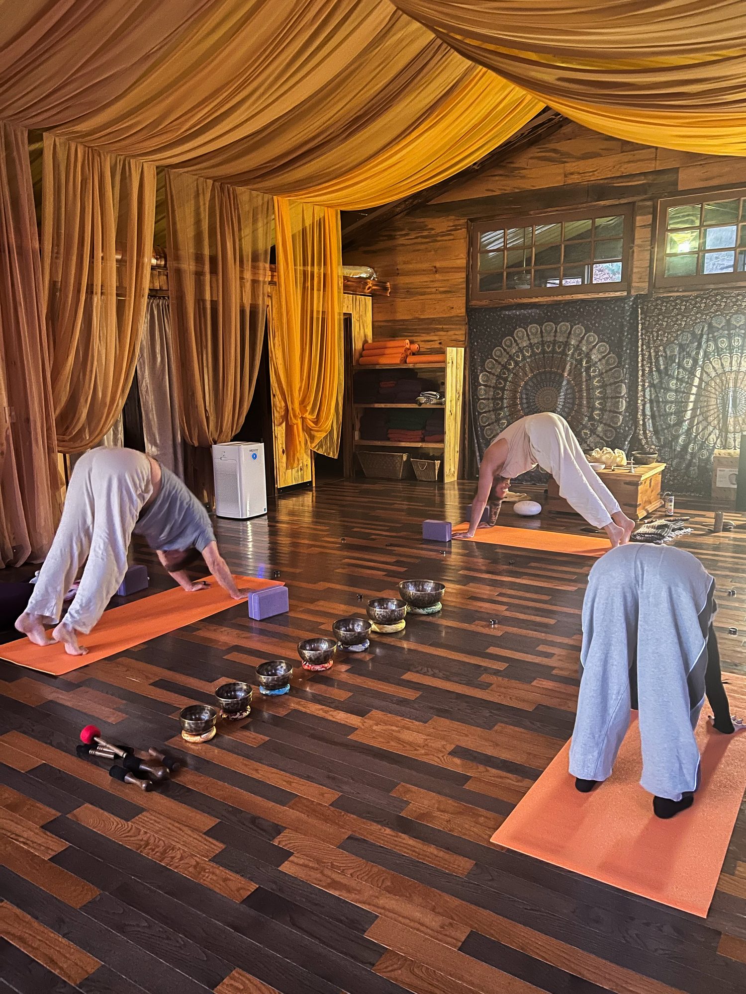 Practitioners in downward dog during an asana practice with singing bowls